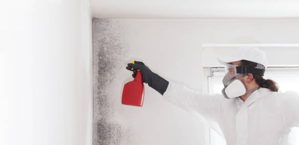 Best Mold Remediation for Specific Building Types in , GA
